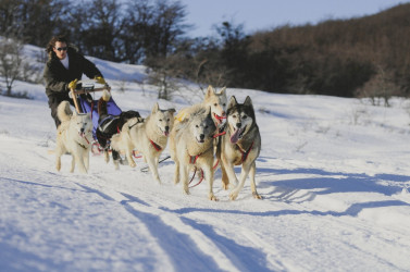 Dog sledding