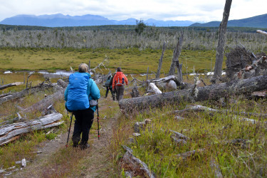 Hiking in Tolhuin