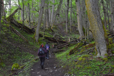 Hiking and trekking in Ushuaia