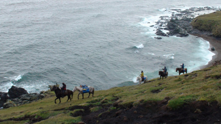 Horseriding in Mitre Peninsula