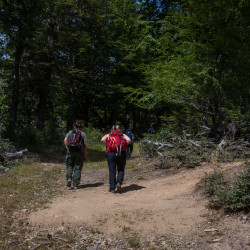 Laguna Sofía trail