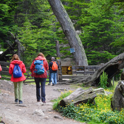 Estancia Tunel trail