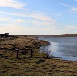 Reserva Natural Urbana Laguna de los Patos