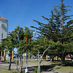 Río Grande City’s Anniversary